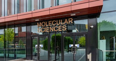 UoB Molecular Sciences