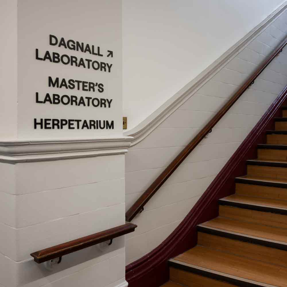 Liverpool Tropical School of Medicine